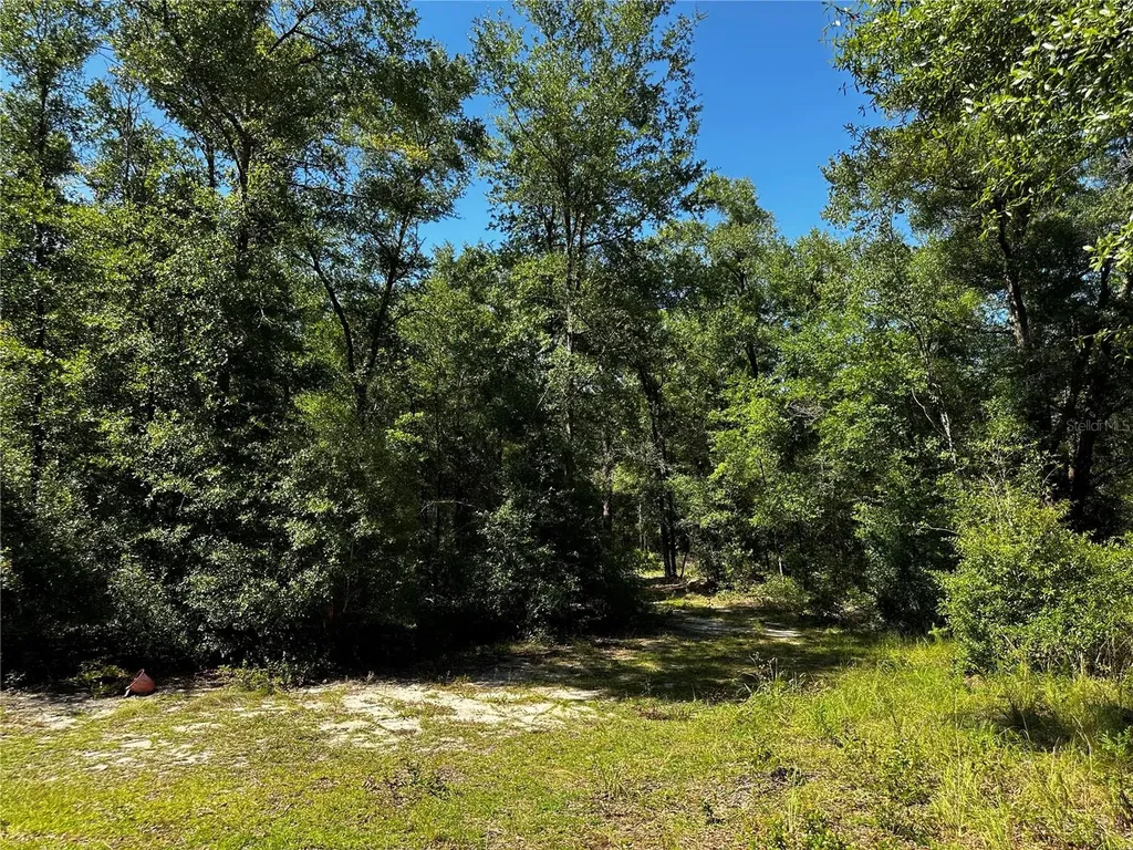 Tbd NE 81st Street Bronson FL 32621