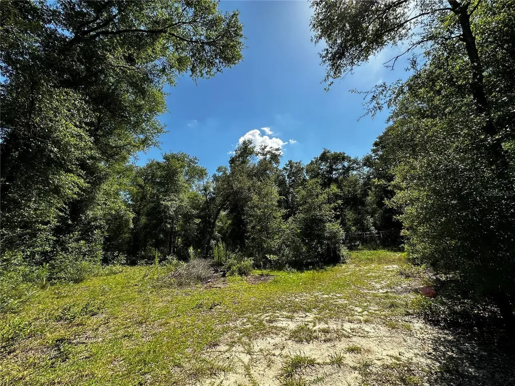 Tbd NE 81st Street Bronson FL 32621