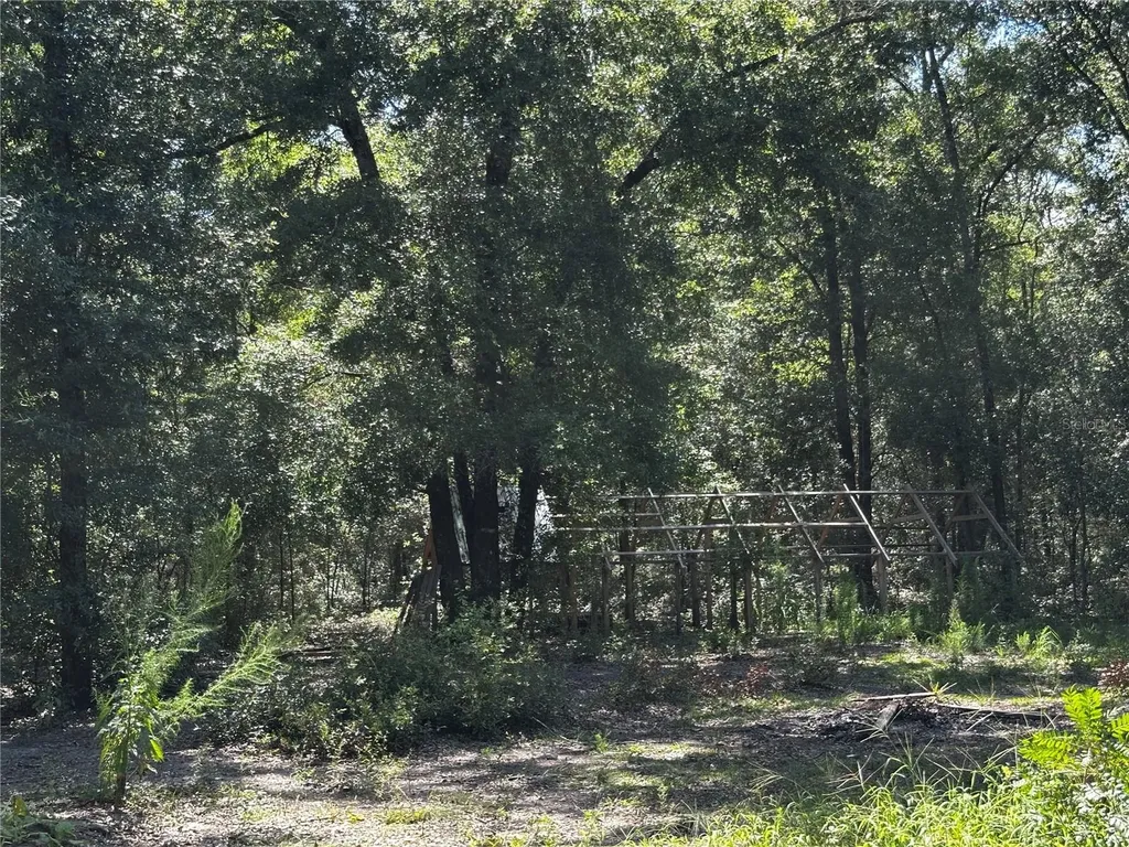 Tbd NE 81st Street Bronson FL 32621