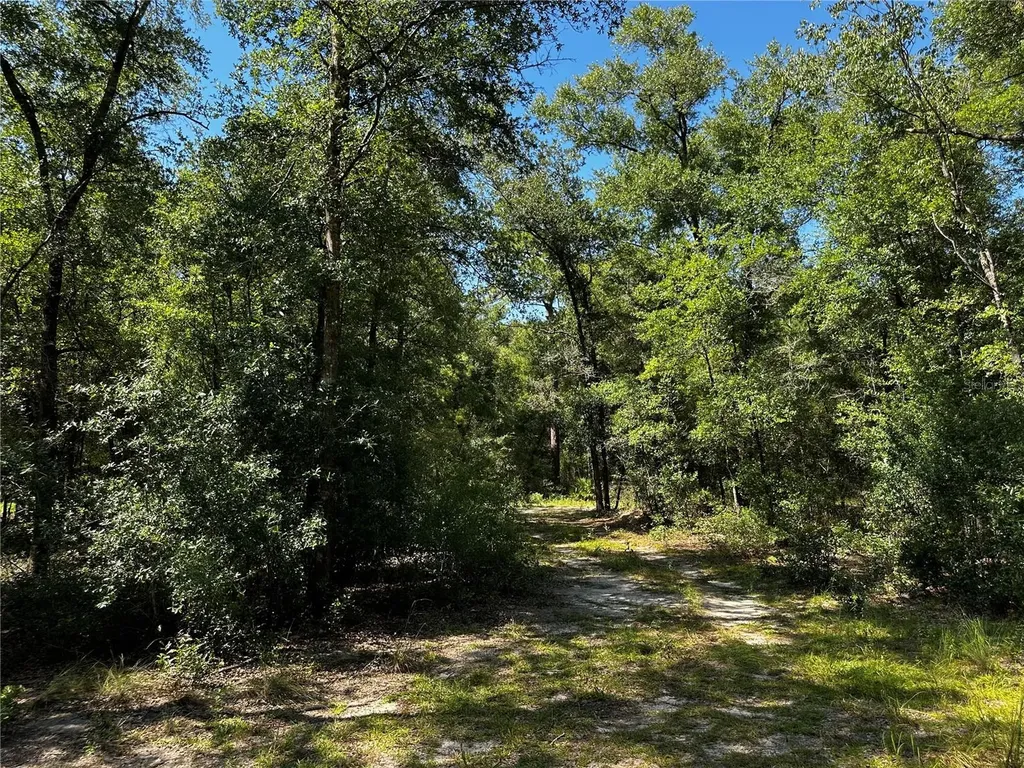 Tbd NE 81st Street Bronson FL 32621
