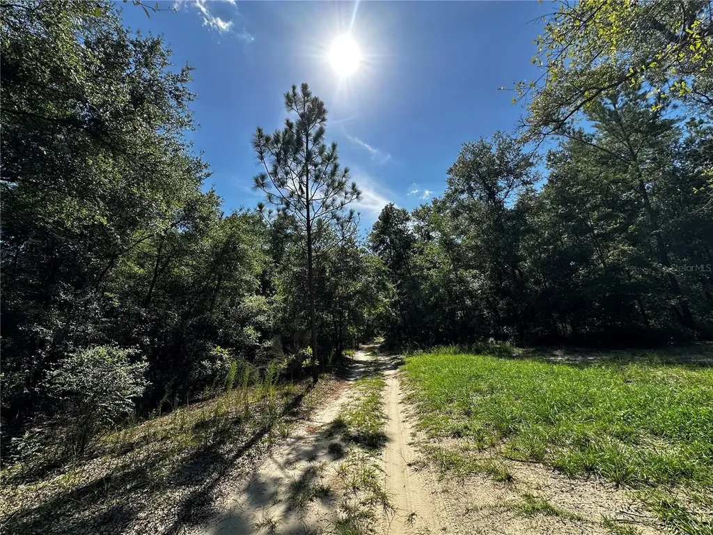 Tbd NE 81st Street Bronson FL 32621