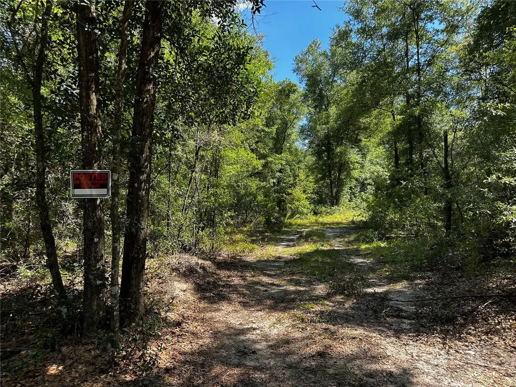 Tbd NE 81st Street Bronson FL 32621