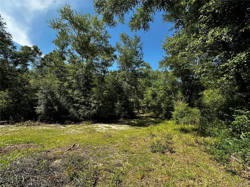 Tbd NE 81st Street Bronson FL 32621