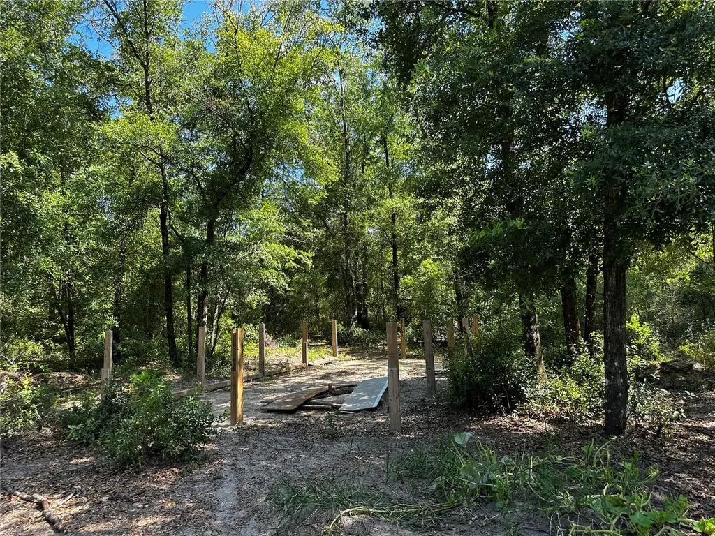 Tbd NE 81st Street Bronson FL 32621