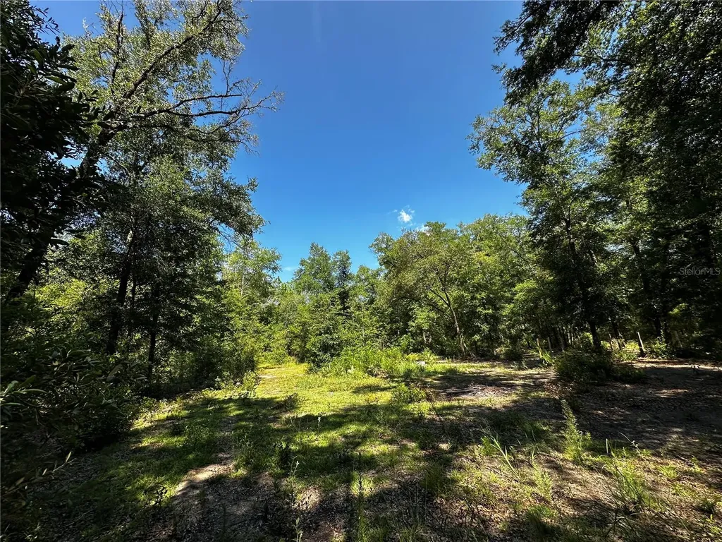 Tbd NE 81st Street Bronson FL 32621