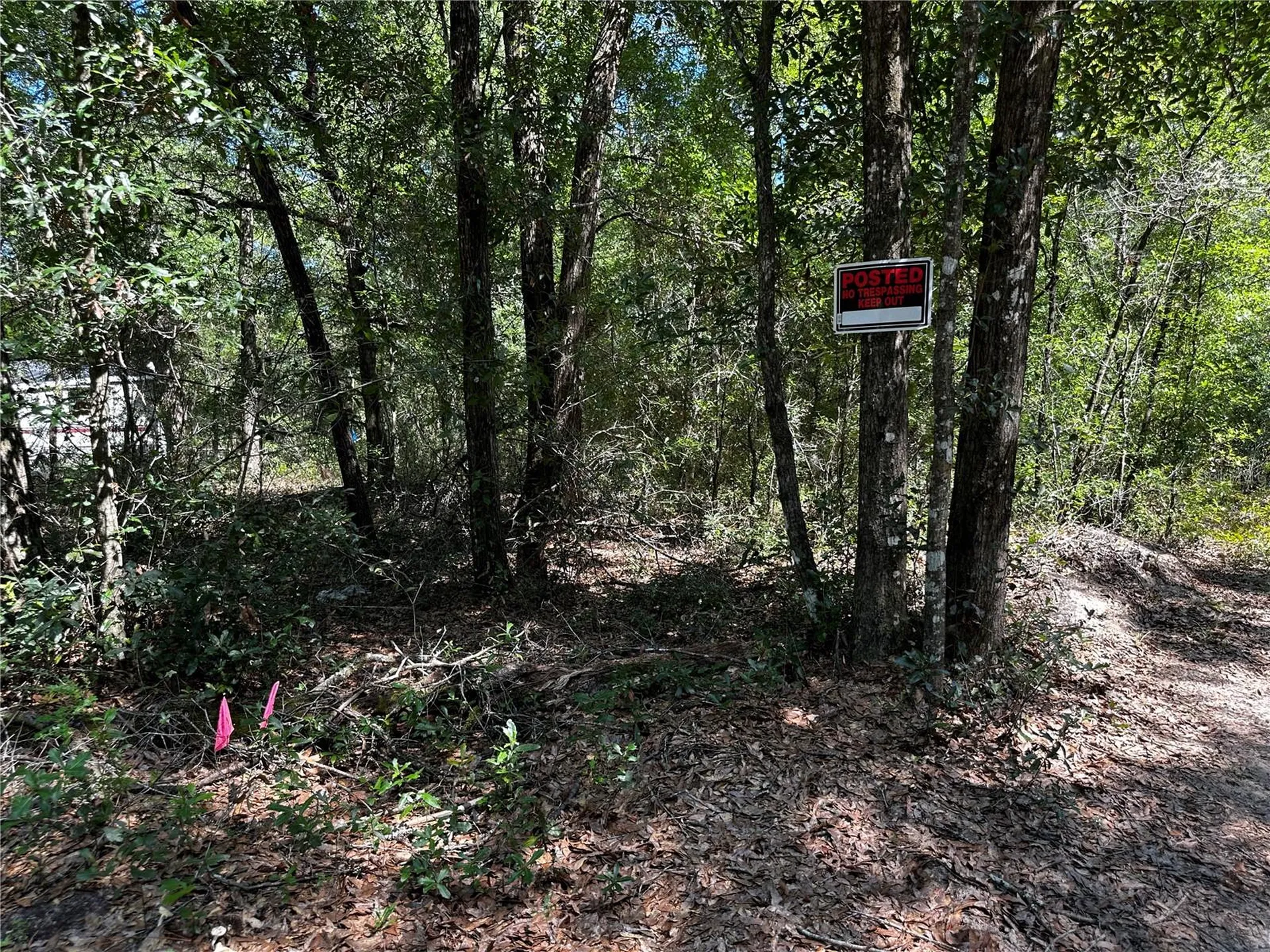 Tbd NE 81st Street Bronson FL 32621