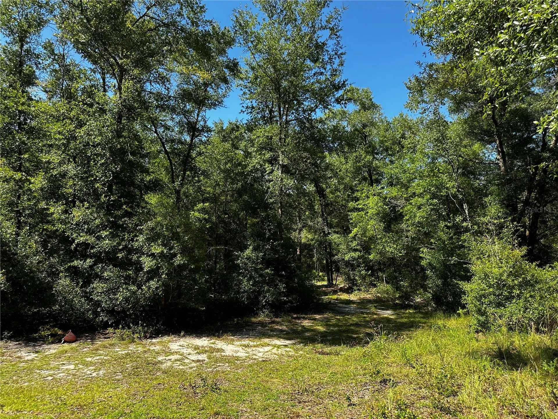 Tbd NE 81st Street Bronson FL 32621