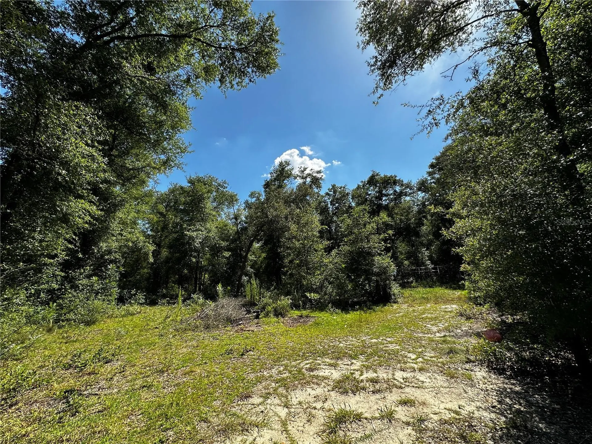 Tbd NE 81st Street Bronson FL 32621