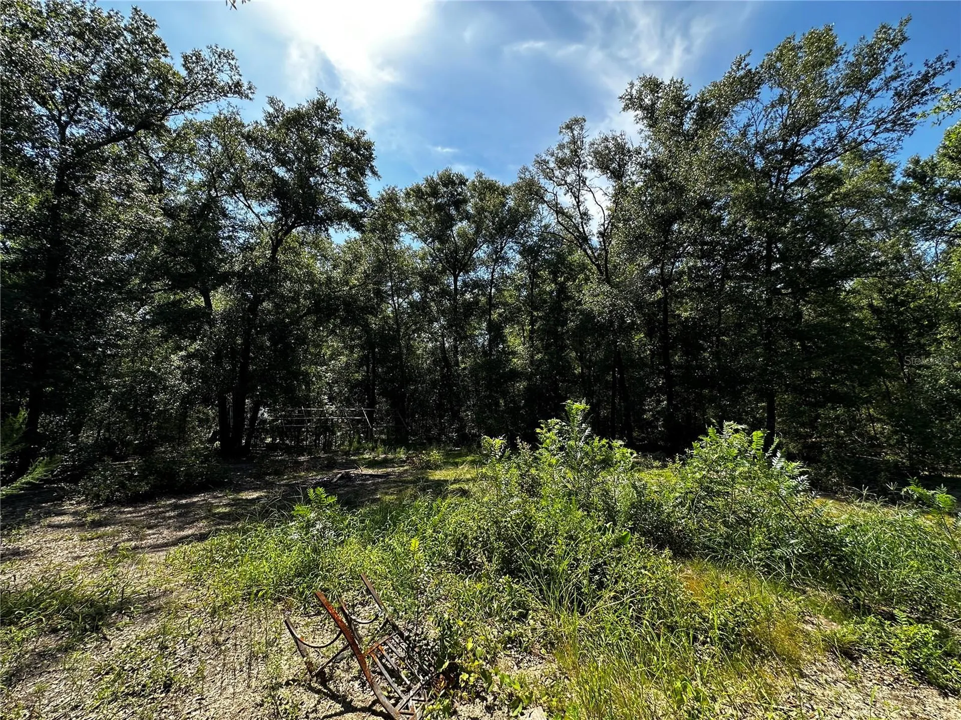 Tbd NE 81st Street Bronson FL 32621