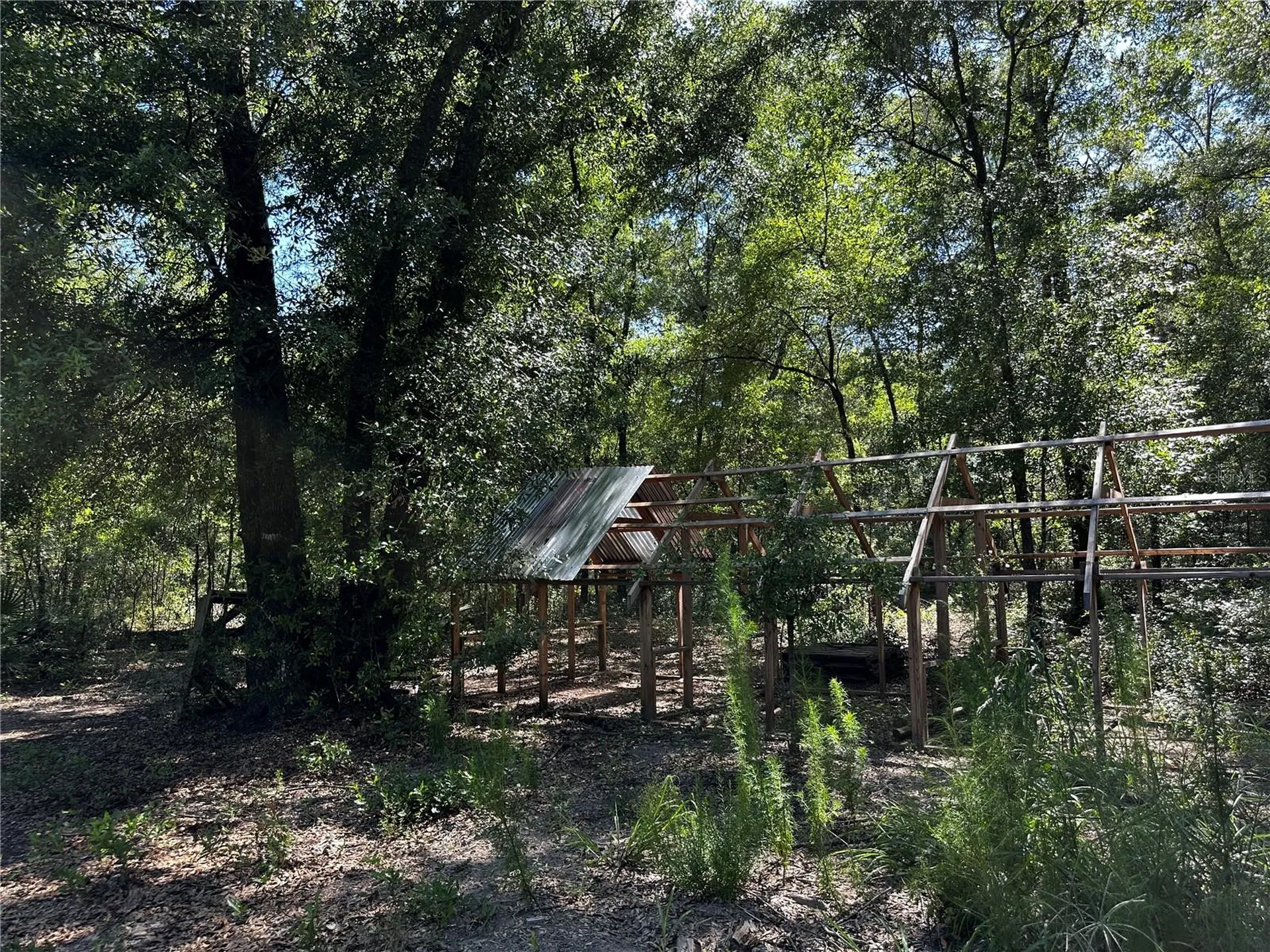 Tbd NE 81st Street Bronson FL 32621