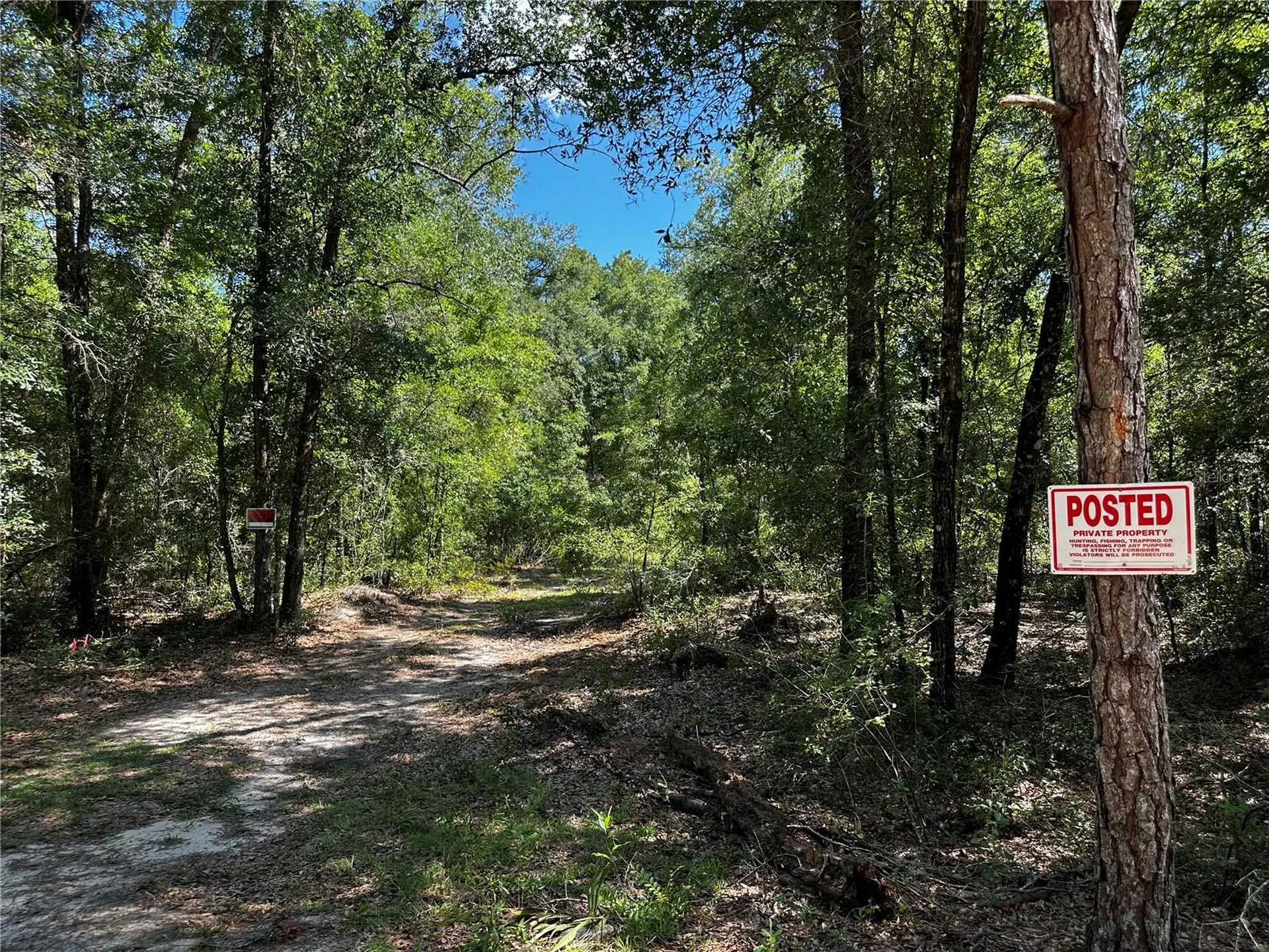 Tbd NE 81st Street Bronson FL 32621