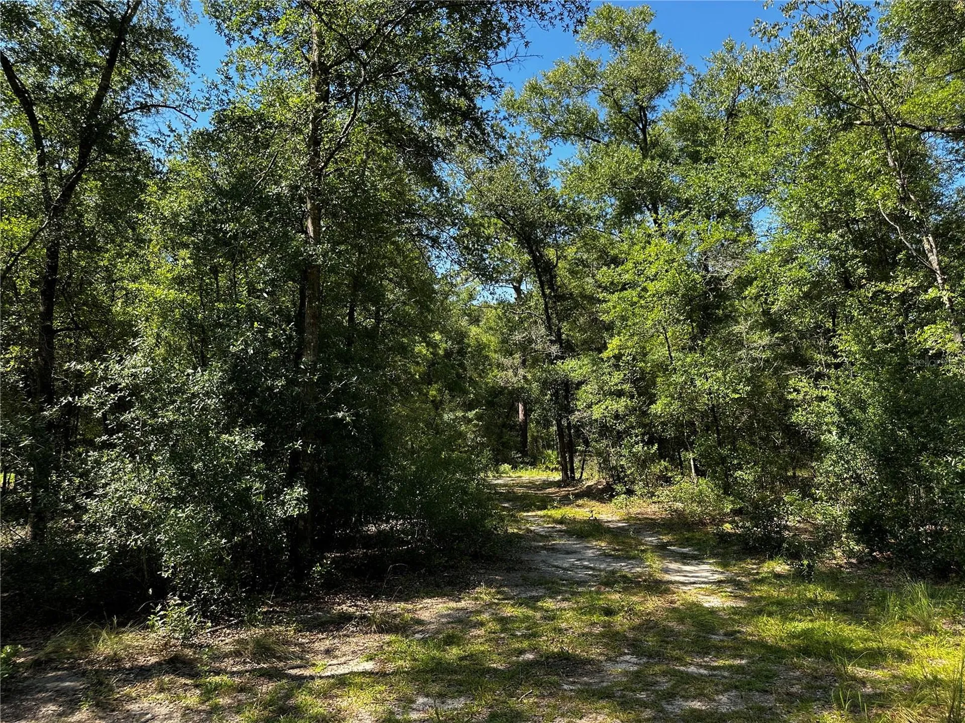 Tbd NE 81st Street Bronson FL 32621