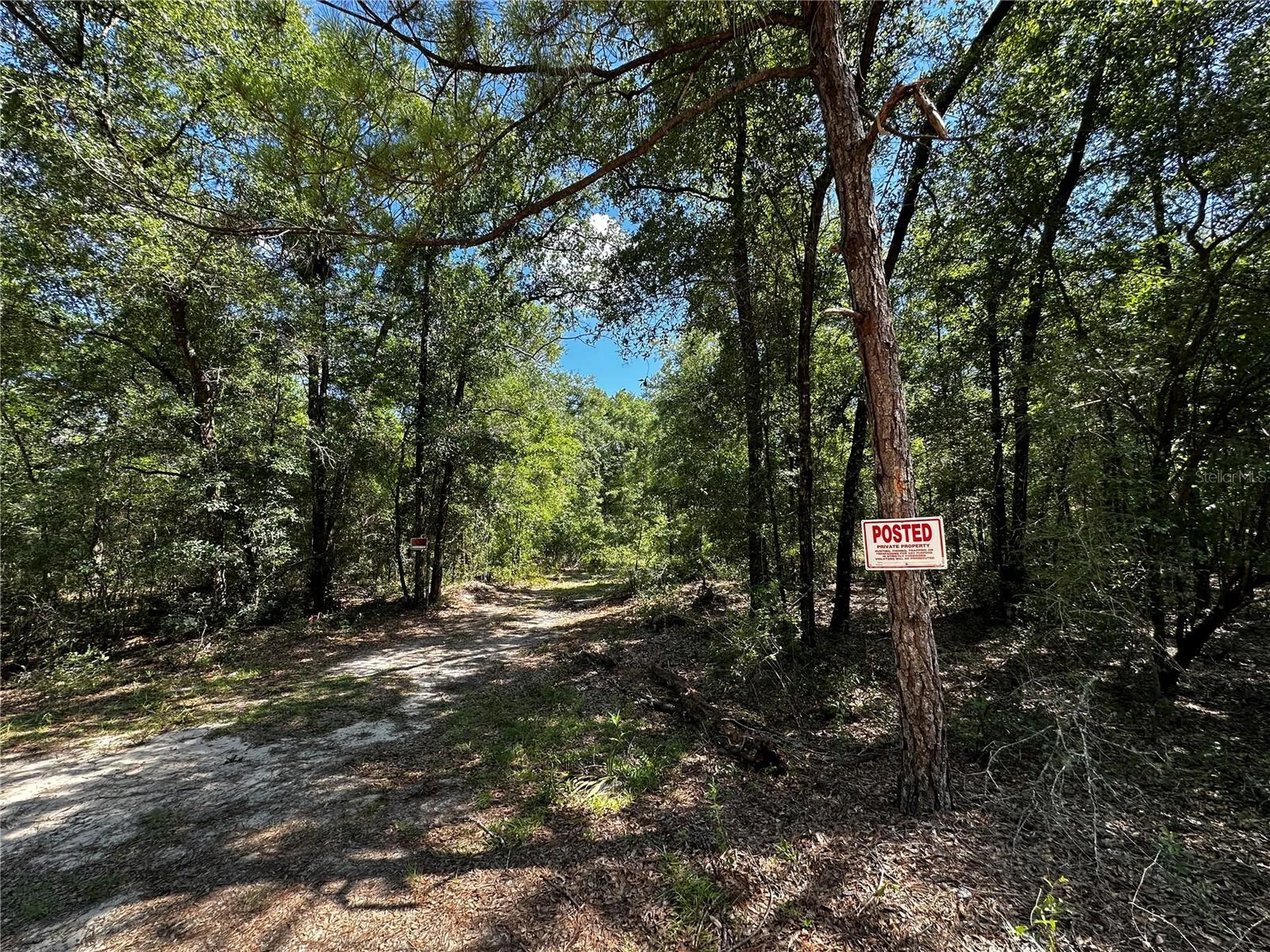 Tbd NE 81st Street Bronson FL 32621