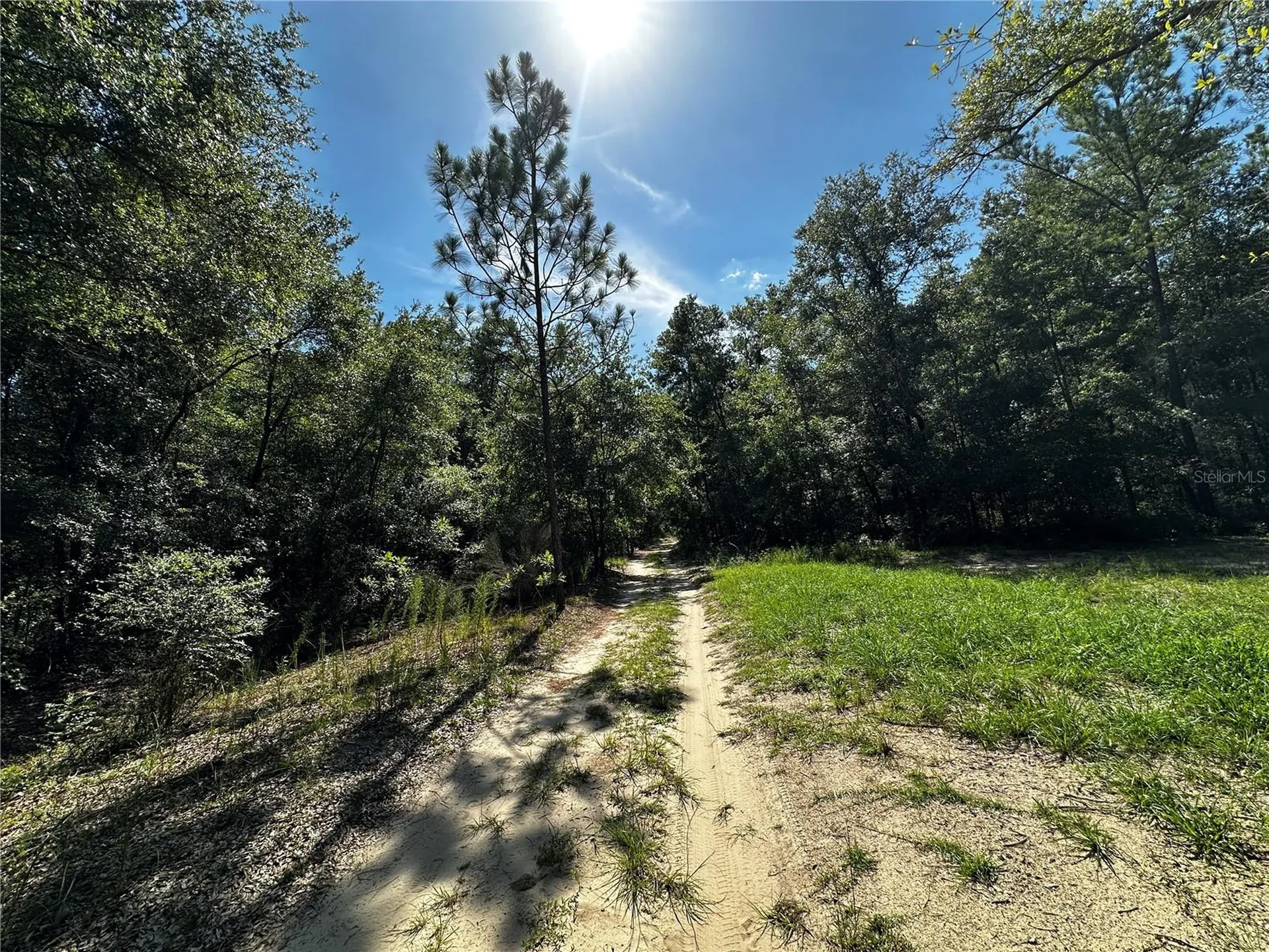 Tbd NE 81st Street Bronson FL 32621
