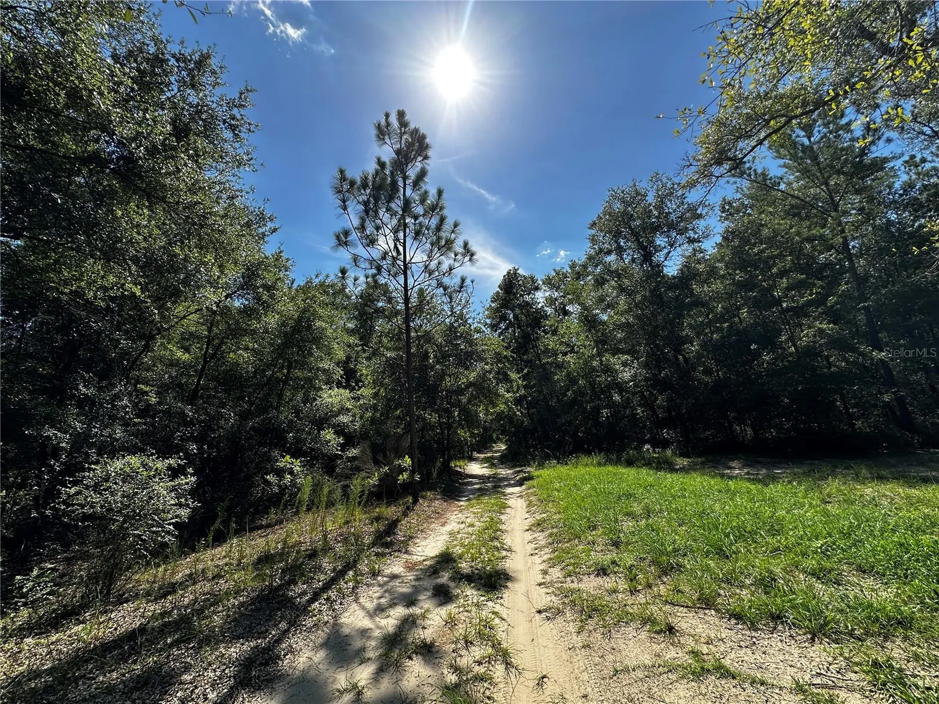Tbd NE 81st Street Bronson FL 32621