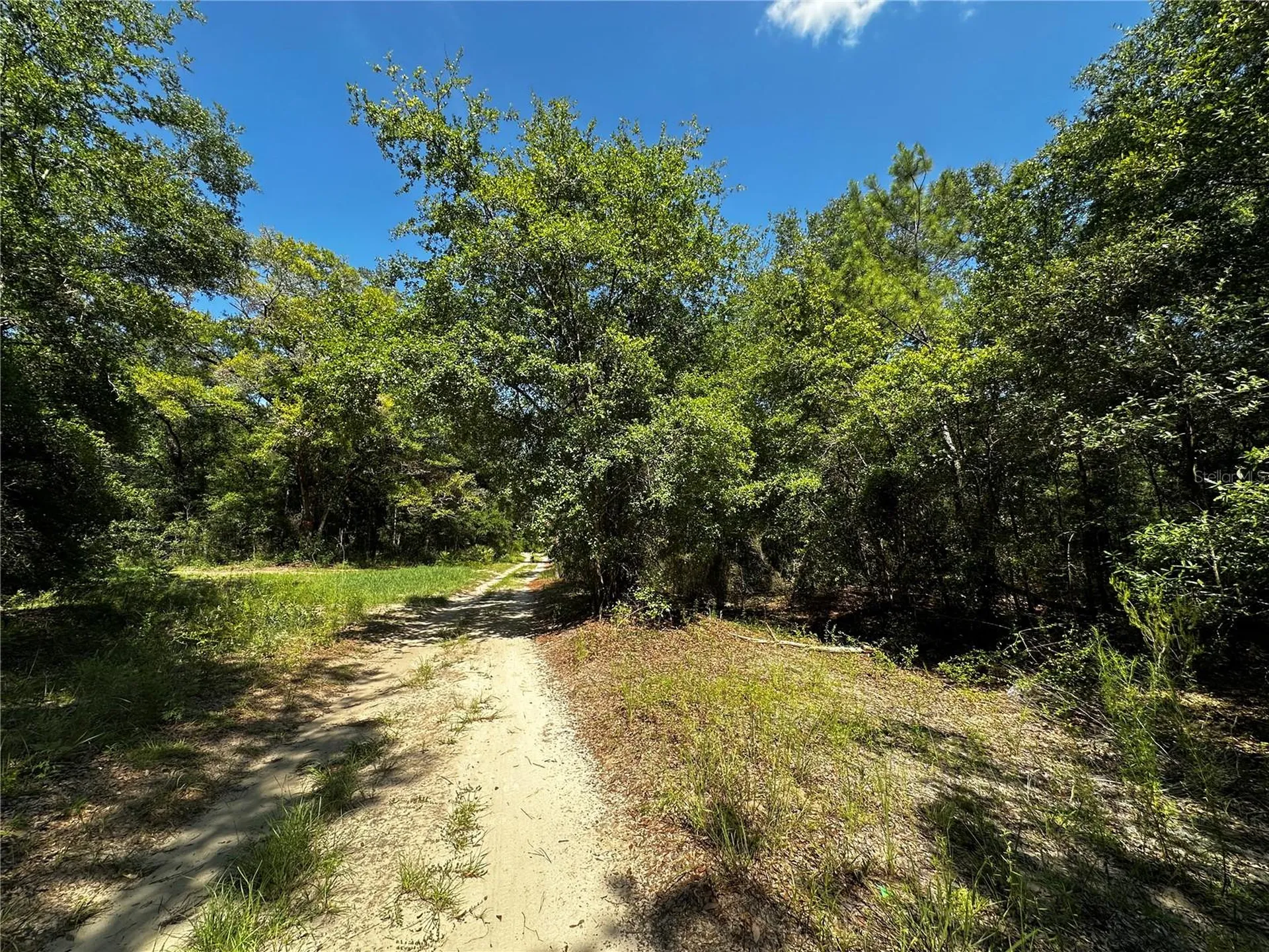 Tbd NE 81st Street Bronson FL 32621