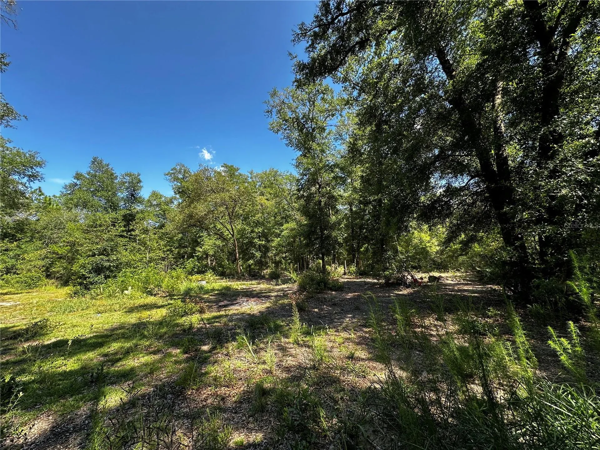 Tbd NE 81st Street Bronson FL 32621