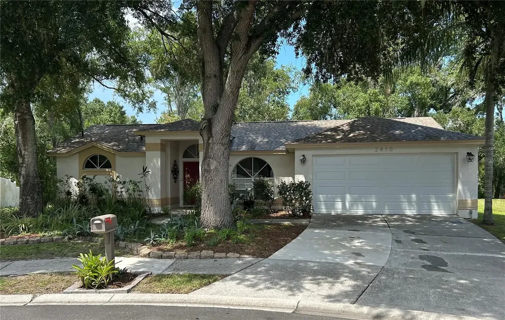 2410 Chobee Court Land O Lakes FL 34639