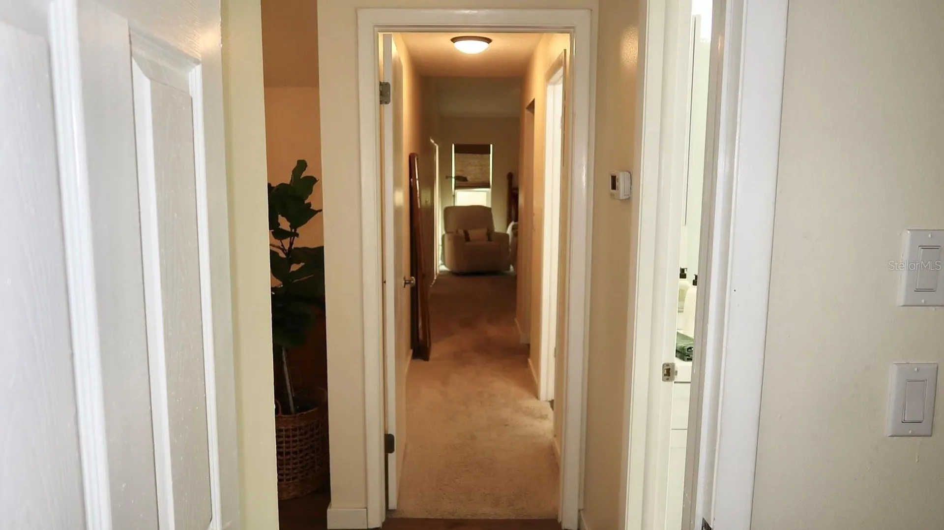 12818 Tallowood Drive Riverview FL 33579