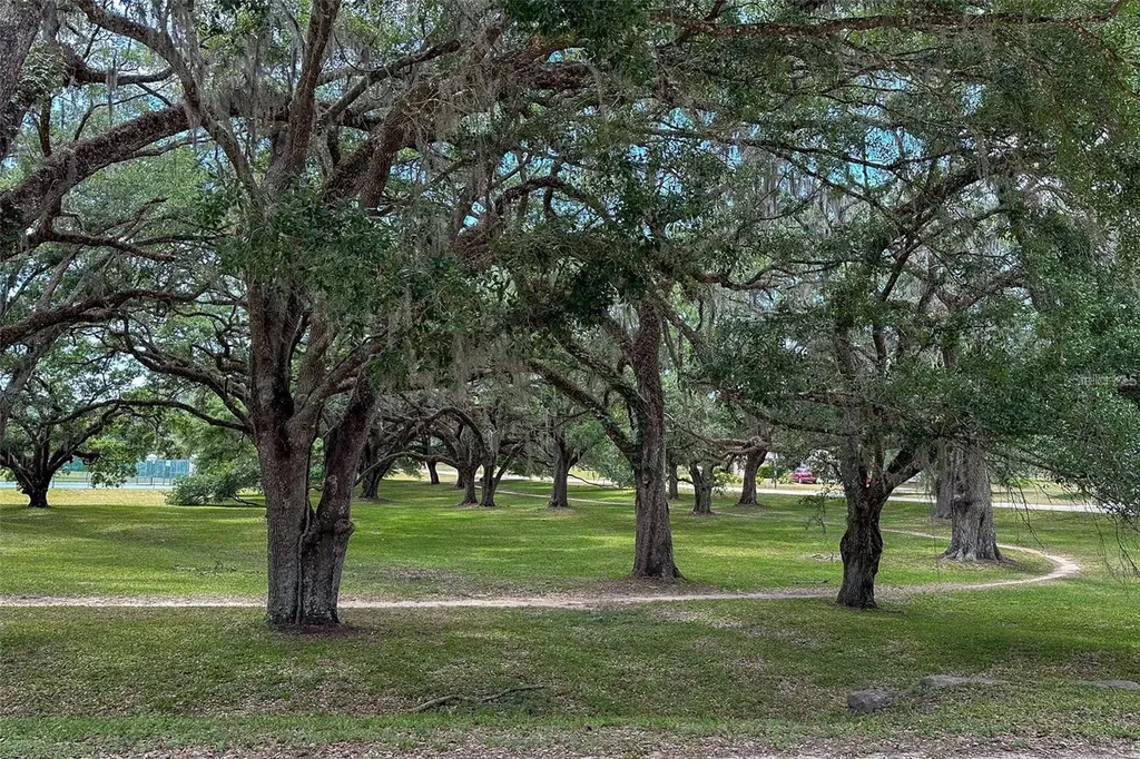 13163 SW 106th Place Dunnellon FL 34432