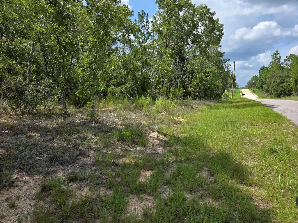 0000 NE 150th Avenue Williston FL 32696