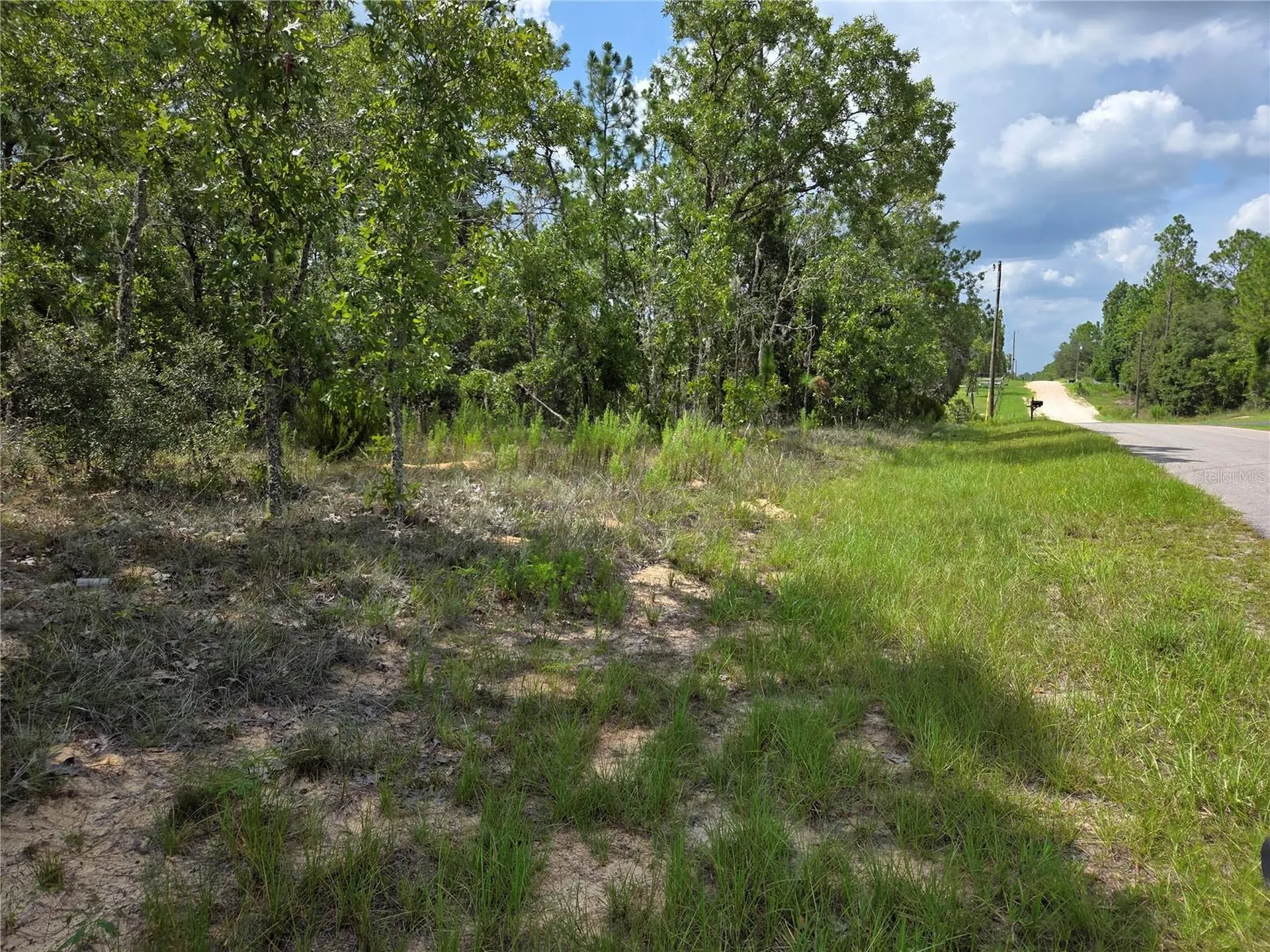 0000 NE 150th Avenue Williston FL 32696