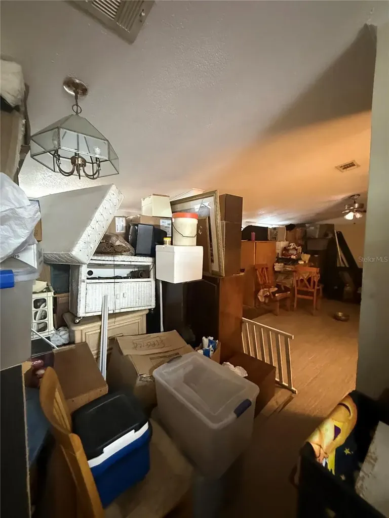 4439 Autumn Palm Drive Zephyrhills FL 33542