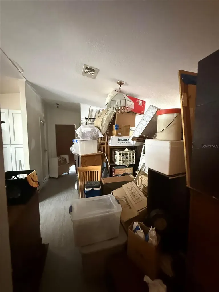 4439 Autumn Palm Drive Zephyrhills FL 33542