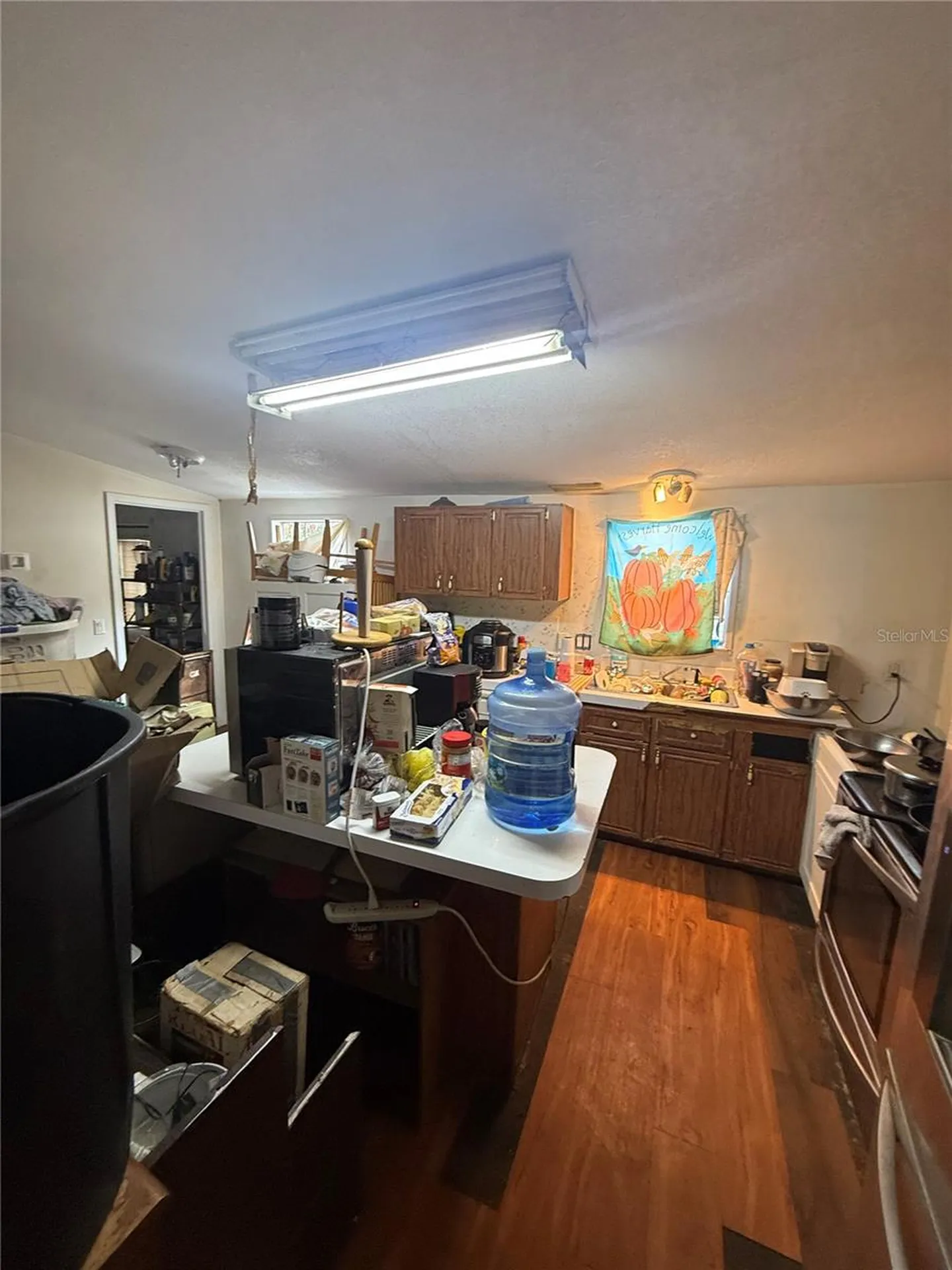 4439 Autumn Palm Drive Zephyrhills FL 33542
