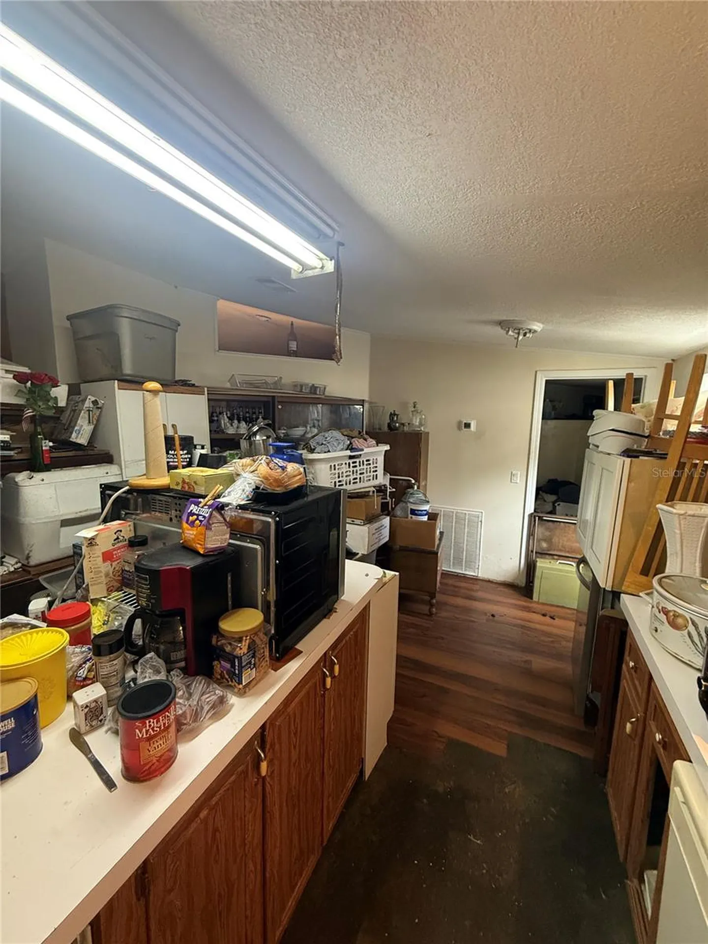 4439 Autumn Palm Drive Zephyrhills FL 33542