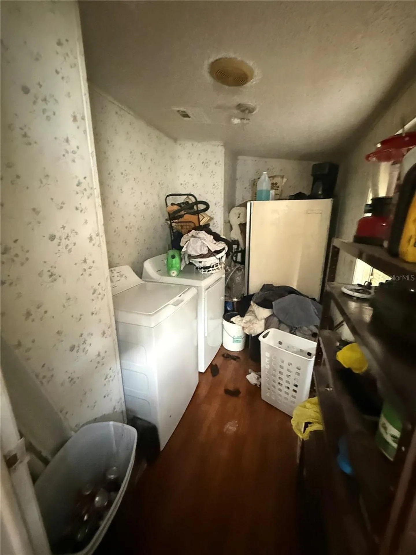 4439 Autumn Palm Drive Zephyrhills FL 33542