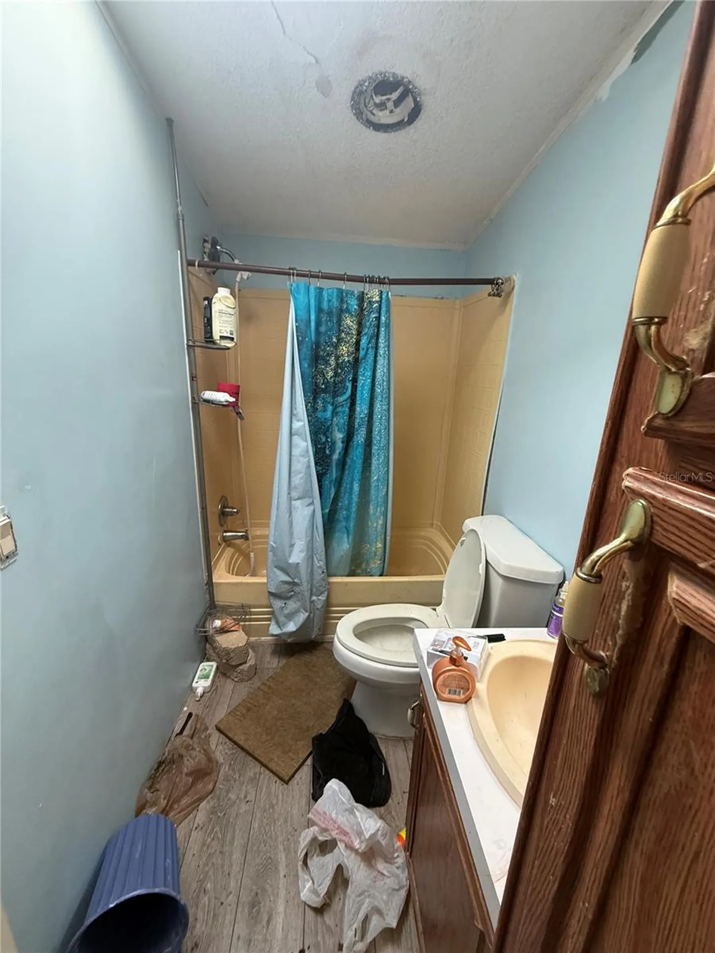 4439 Autumn Palm Drive Zephyrhills FL 33542