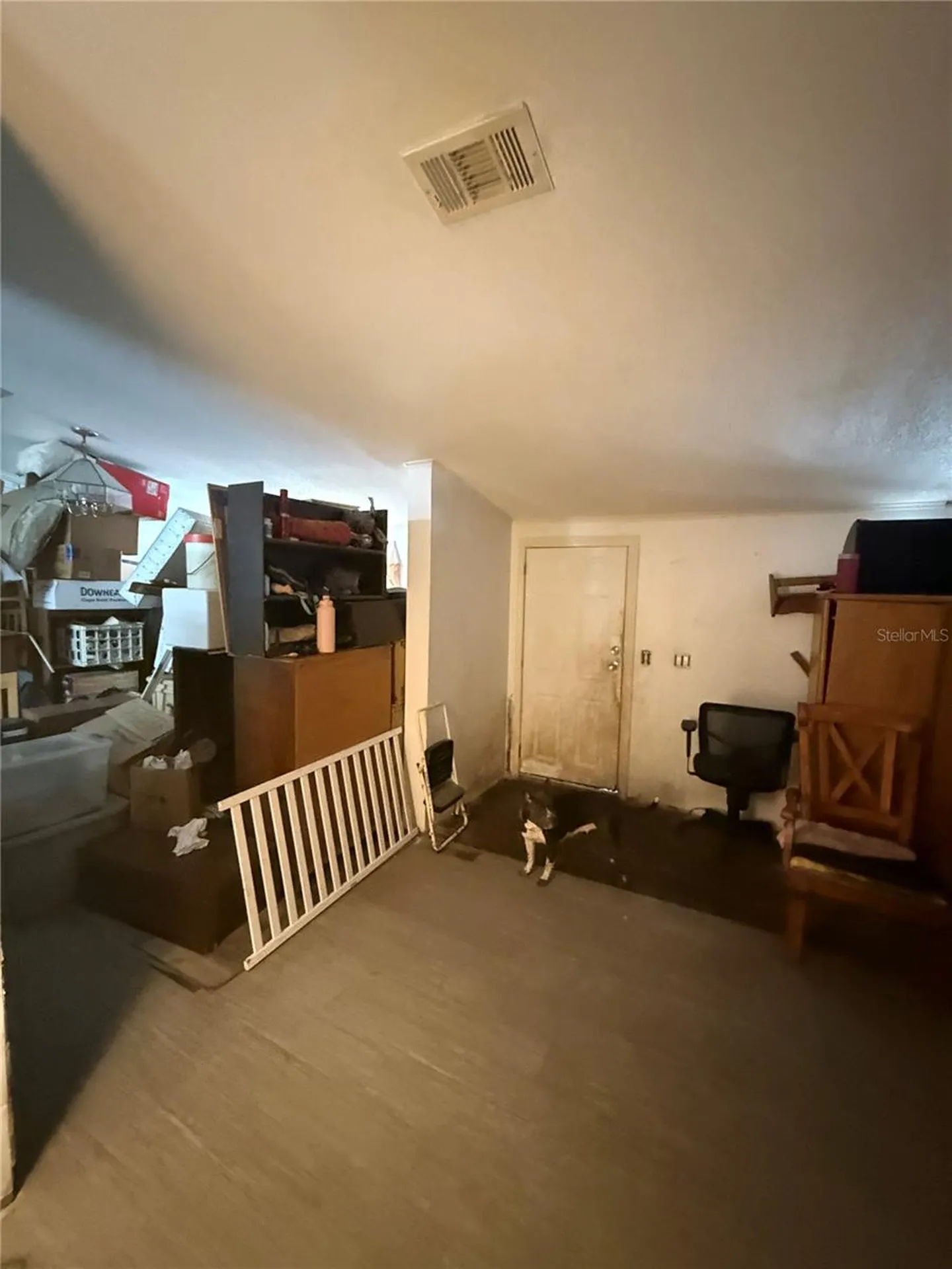 4439 Autumn Palm Drive Zephyrhills FL 33542