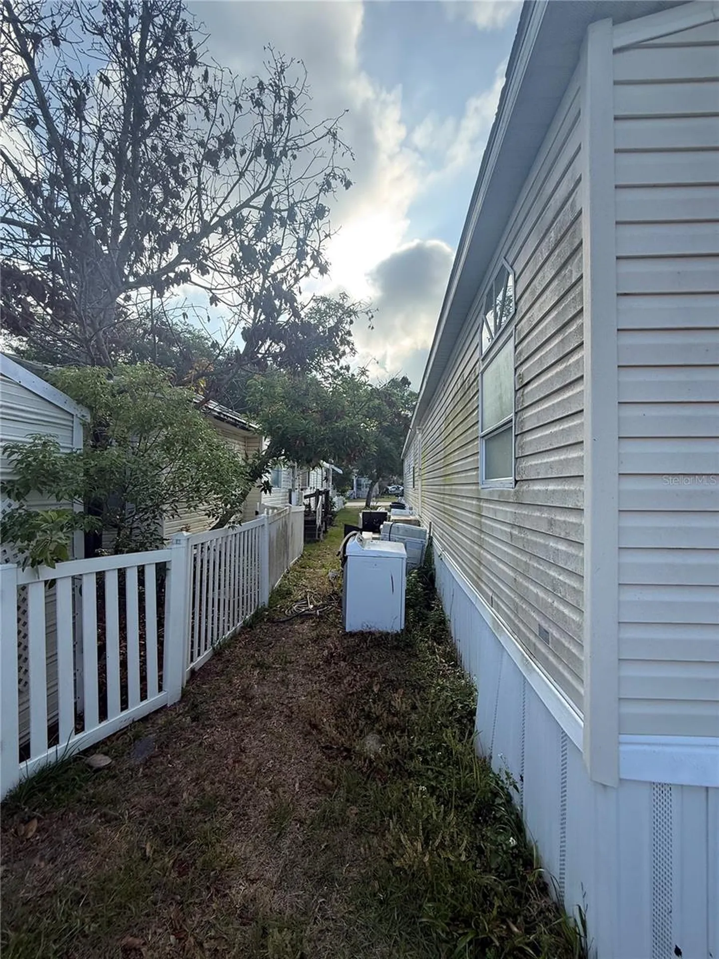 4439 Autumn Palm Drive Zephyrhills FL 33542