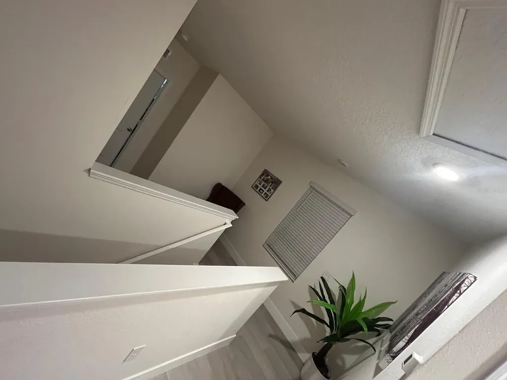32804 Brooks Hawk Lane Wesley Chapel FL 33543