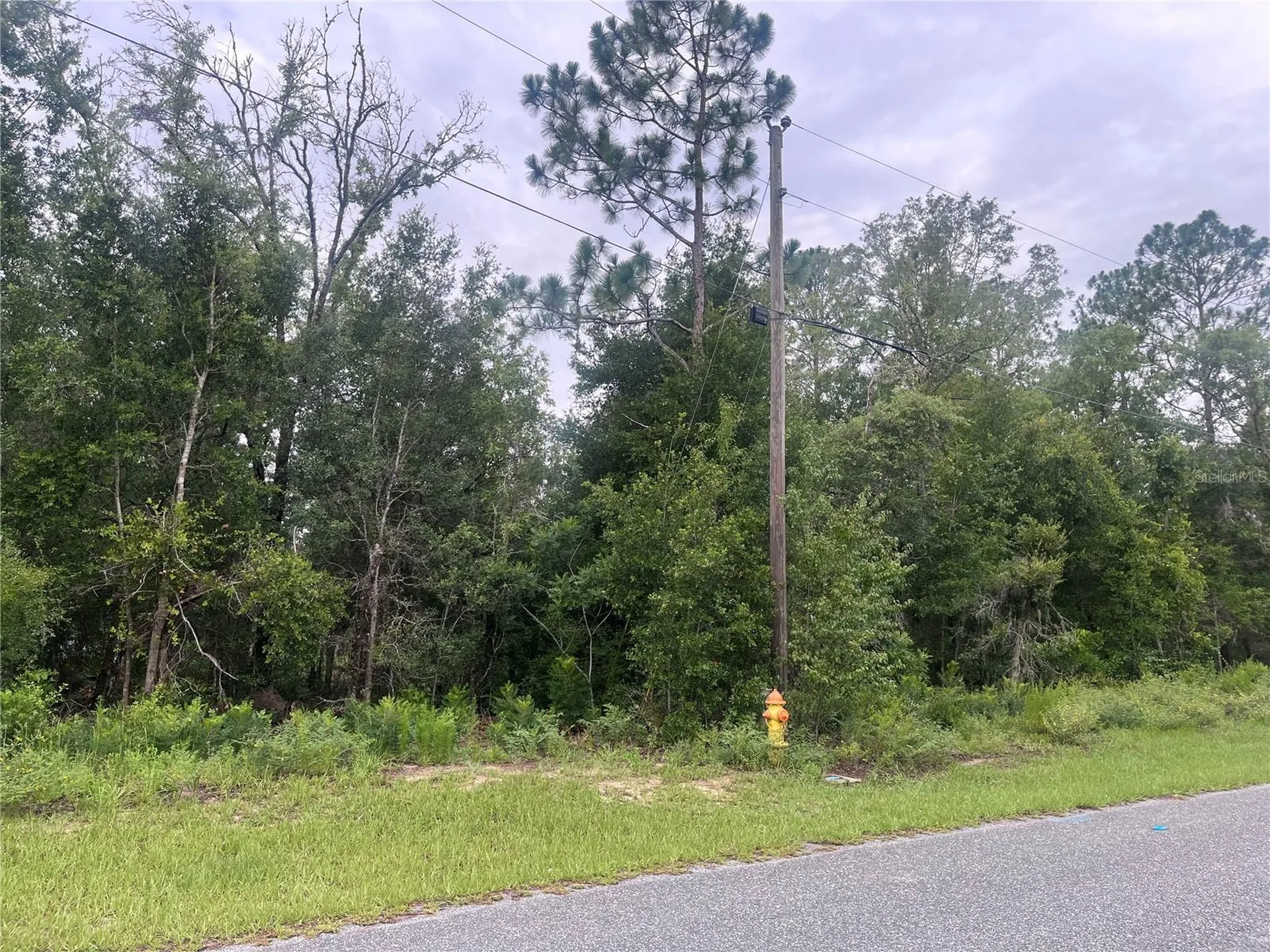 11052 N Iron Drive Citrus Springs FL 34434
