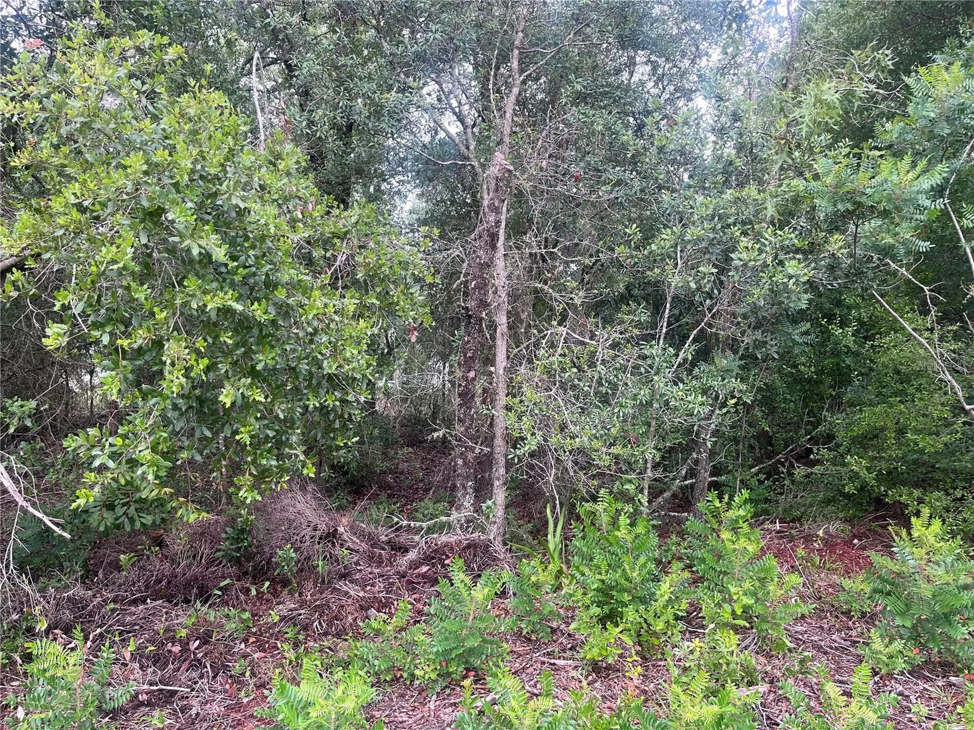 11052 N Iron Drive Citrus Springs FL 34434