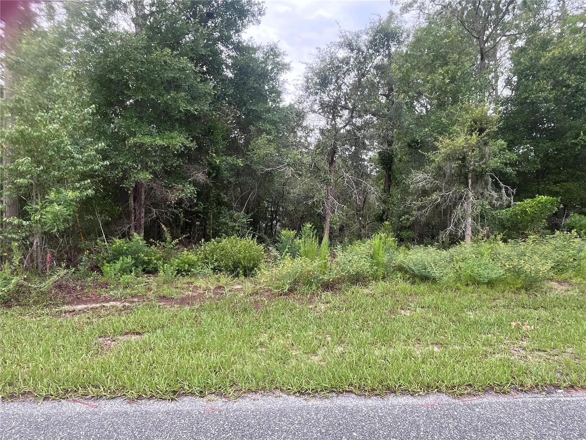 11052 N Iron Drive Citrus Springs FL 34434