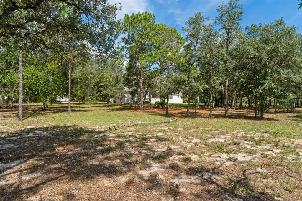 12408 Kanawha Drive Weeki Wachee FL 34614