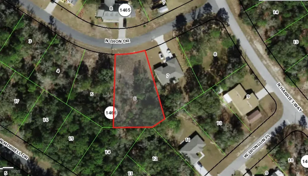 11060 N Iron Drive Citrus Springs FL 34434