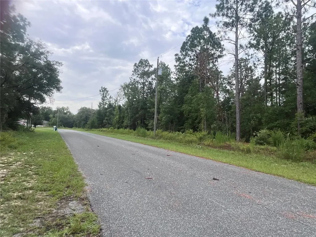 11060 N Iron Drive Citrus Springs FL 34434