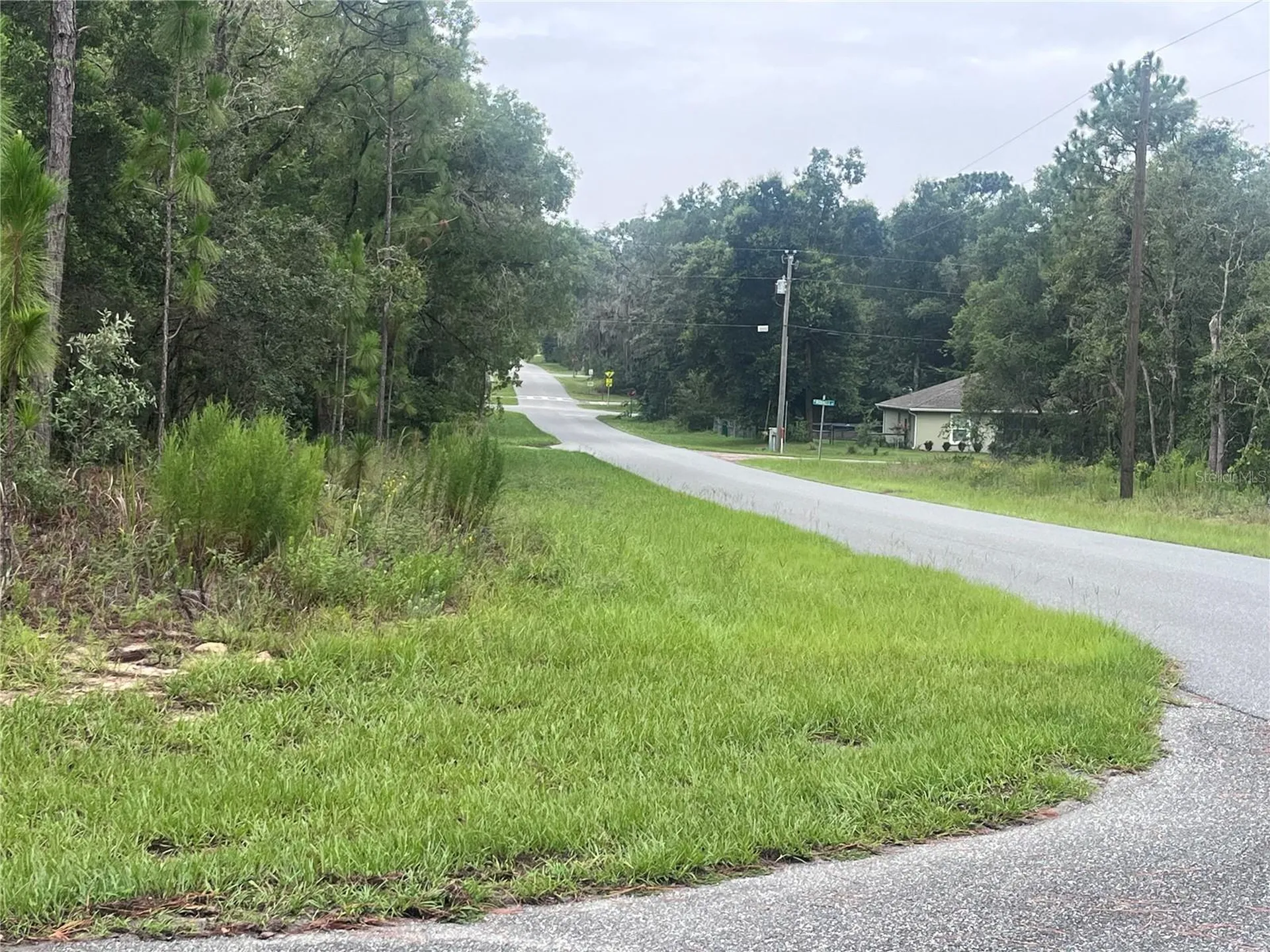 11060 N Iron Drive Citrus Springs FL 34434