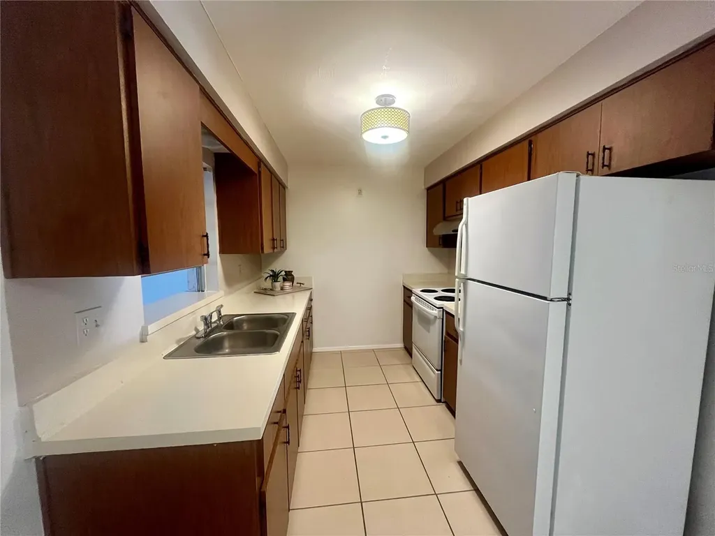 705 Bayou Avenue Tarpon Springs FL 34689