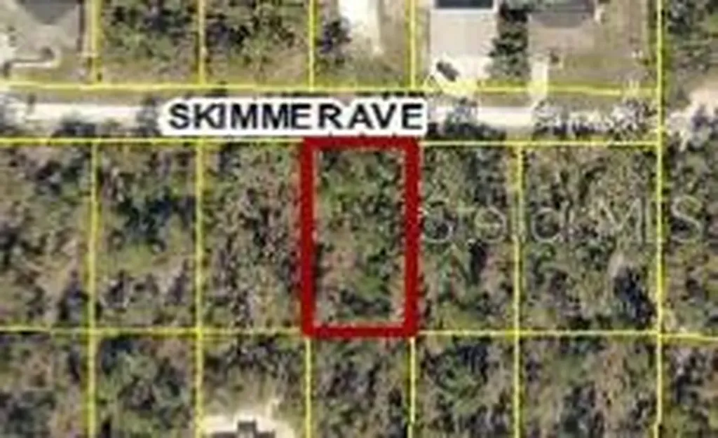 12102 Skimmer Avenue Weeki Wachee FL 34614