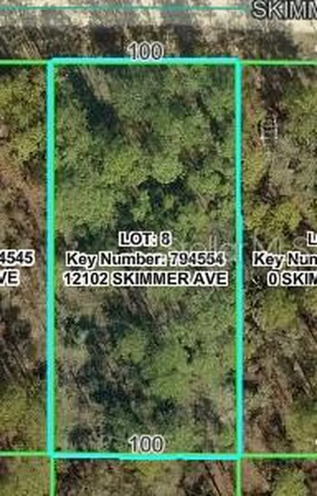 12102 Skimmer Avenue Weeki Wachee FL 34614