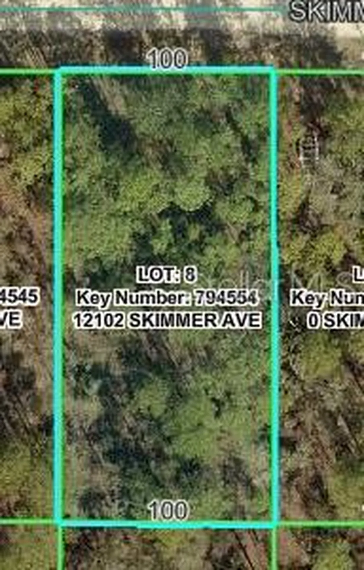 12102 Skimmer Avenue Weeki Wachee FL 34614