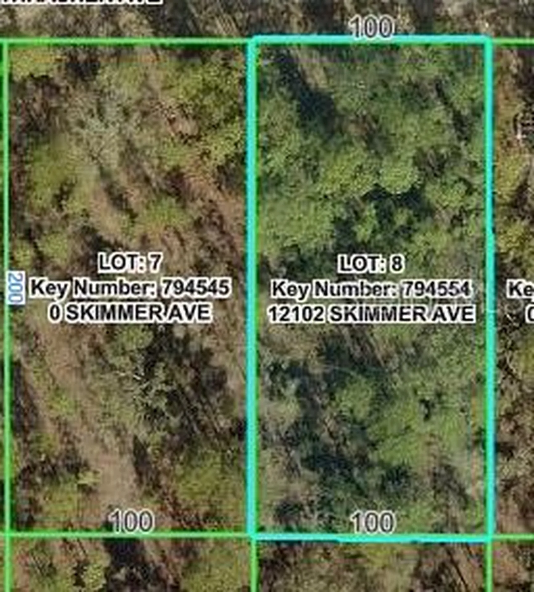 12102 Skimmer Avenue Weeki Wachee FL 34614
