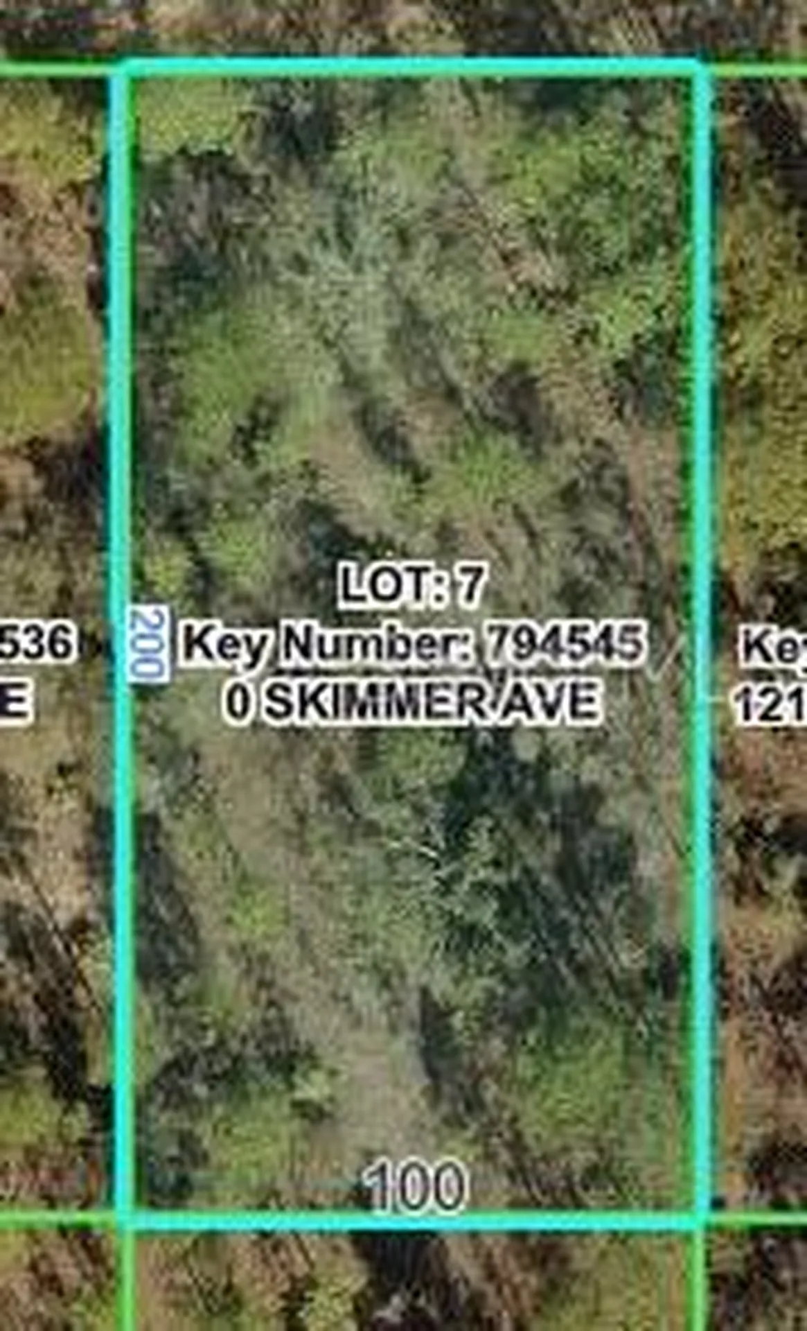 12092 Skimmer Avenue Weeki Wachee FL 34614