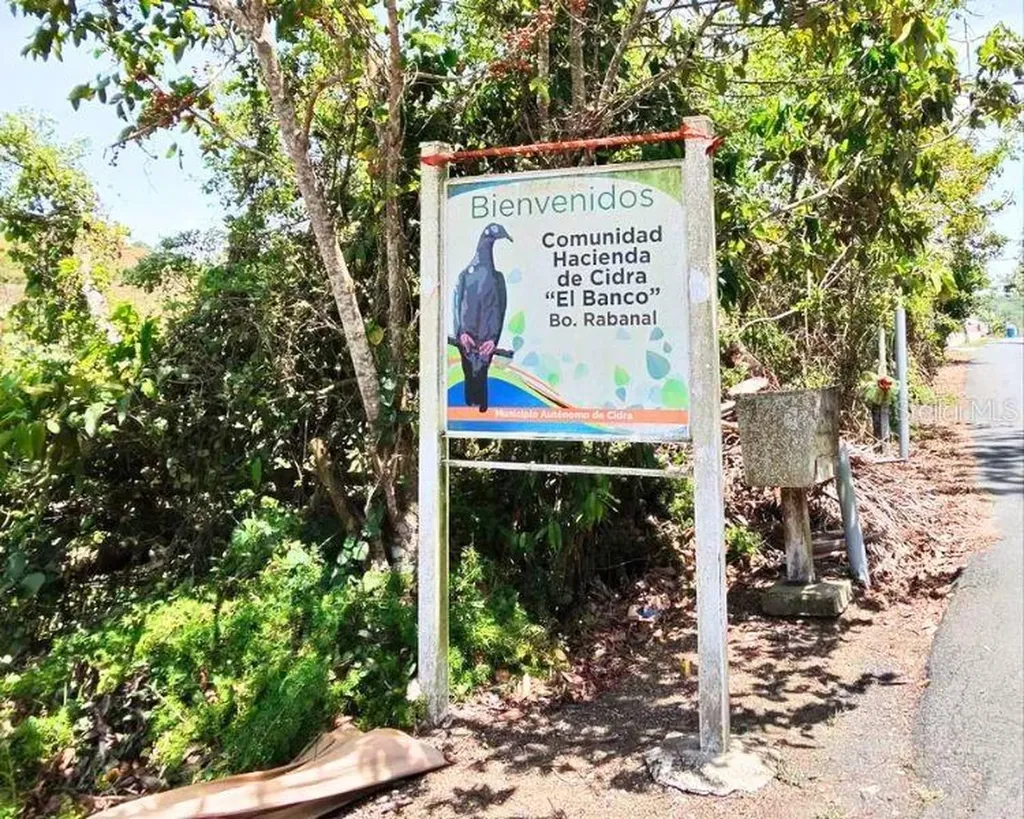 Hacienda De Cidra, Rabanal Parcela #32 Cidra PR 00739
