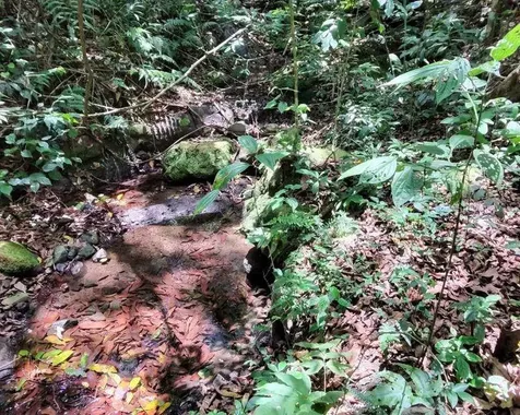 Hacienda De Cidra, Rabanal Parcela #32 Cidra PR 00739